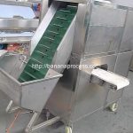 Maquillaje automático de la máquina de pelado de plátano Maquillaje automático de la máquina de pelado de plátano