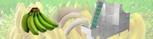 Banner04-Automatic-Feeding-Green-Unripe-Banana-Peeling-Machine-for-Sale