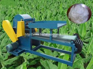 Machine automatique d'extraction de fibre de tige de banane Machine automatique d'extraction de fibre de tige de banane