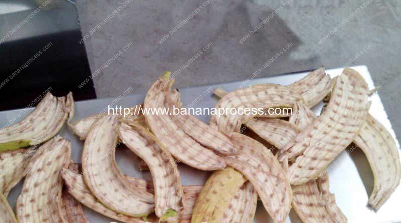 Automatic-Ripe-Banana-Peeling-and-Pulping-Machine-for-Banana-Puree-Line