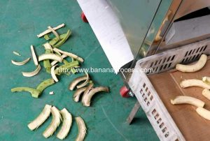 Green-Plantain-Banana-Peeling-Machine-for-Vietnam-Customer