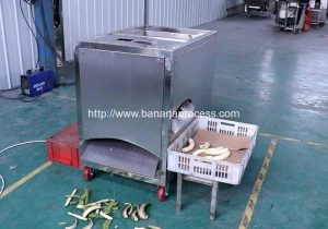 Green-Plantain-Banana-Peeling-Machine-for-Vietnam-Plantain-Banana