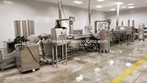 Automatic Banana Chips Production Line with Sugar Covering Machine Automatic Banana Chips Production Line with Sugar Covering Machine