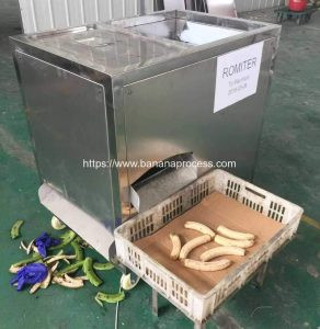Automatic Green Banana Peeling Machine for Mauritius Customer