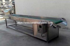 Automatic Banana Chips Selection Conveyor Automatic Banana Chips Selection Conveyor
