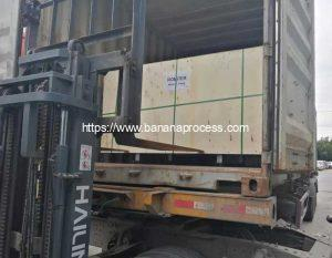 Green-Banana-Peeling-Machine-Delivery-by-20GP-Container-for-El-Salvador-Customer