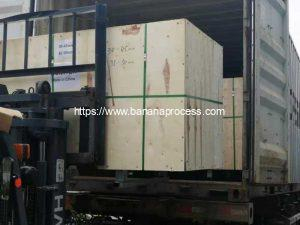 Green-Banana-Peeling-Machine-Delivery-by-Container-for-El-Salvador-Customer